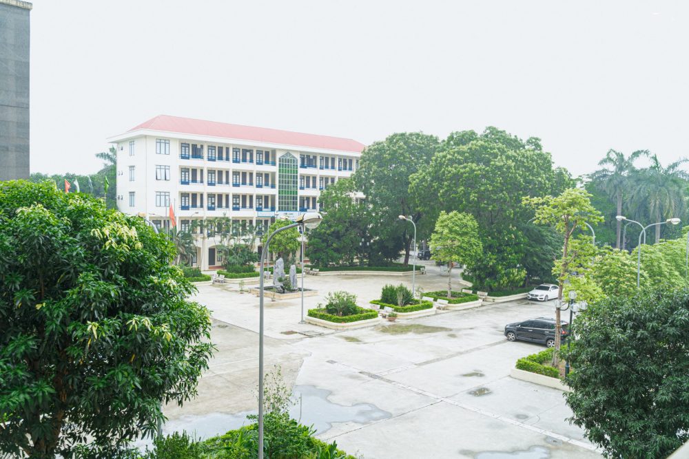 Đối tác tại Hàn